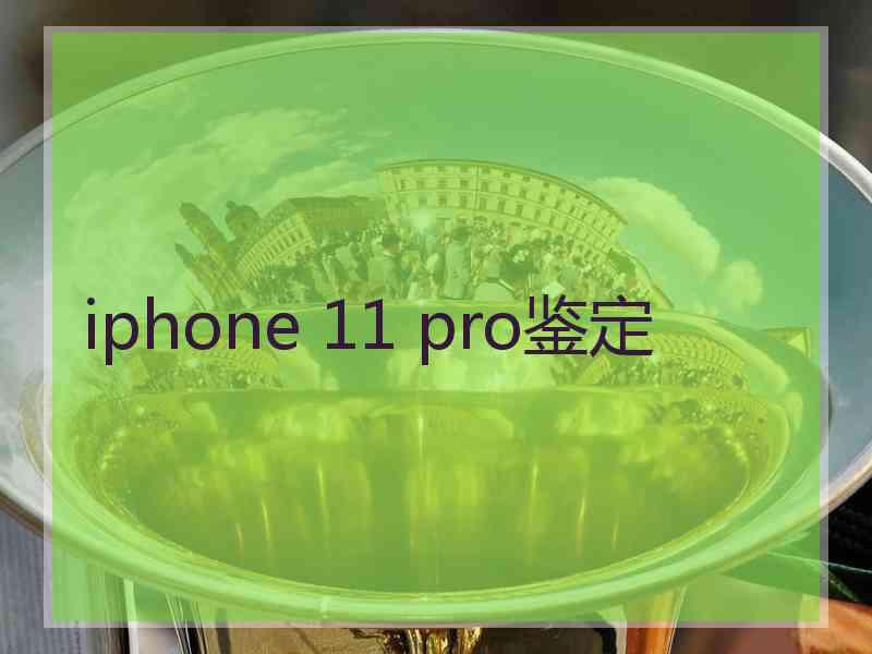 iphone 11 pro鉴定