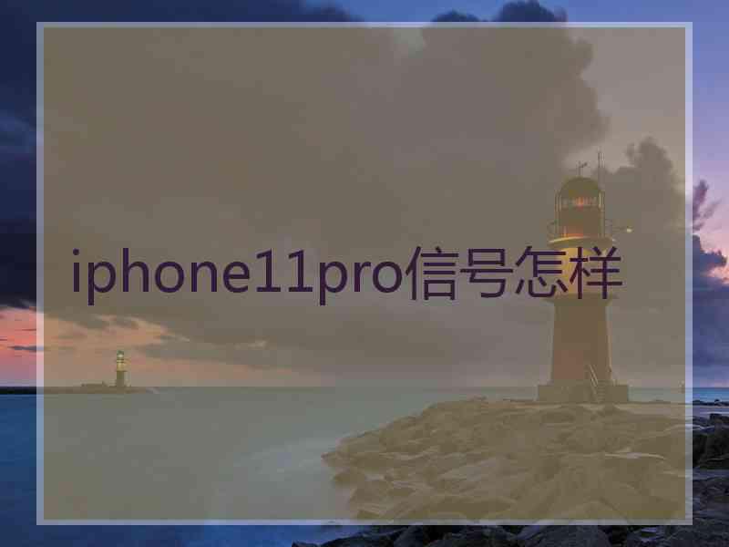 iphone11pro信号怎样