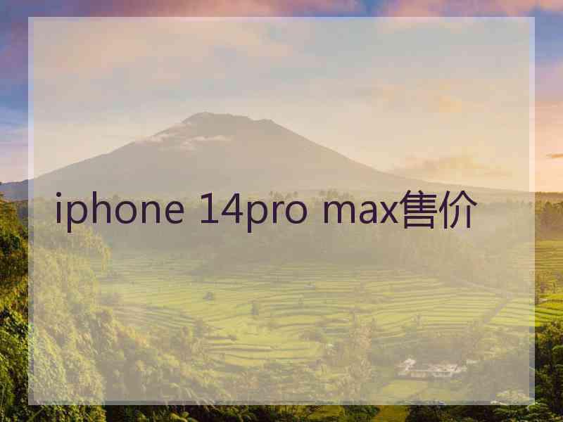 iphone 14pro max售价