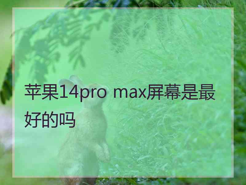 苹果14pro max屏幕是最好的吗
