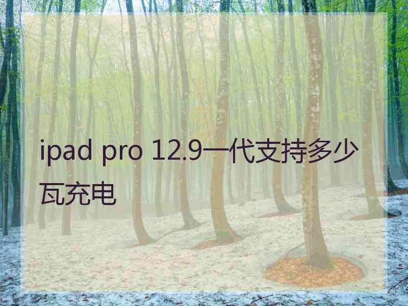 ipad pro 12.9一代支持多少瓦充电