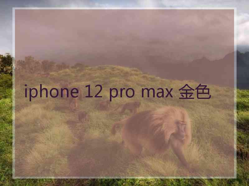 iphone 12 pro max 金色