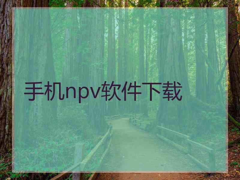 手机npv软件下载