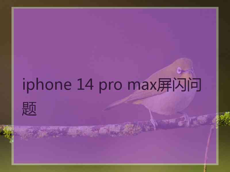 iphone 14 pro max屏闪问题