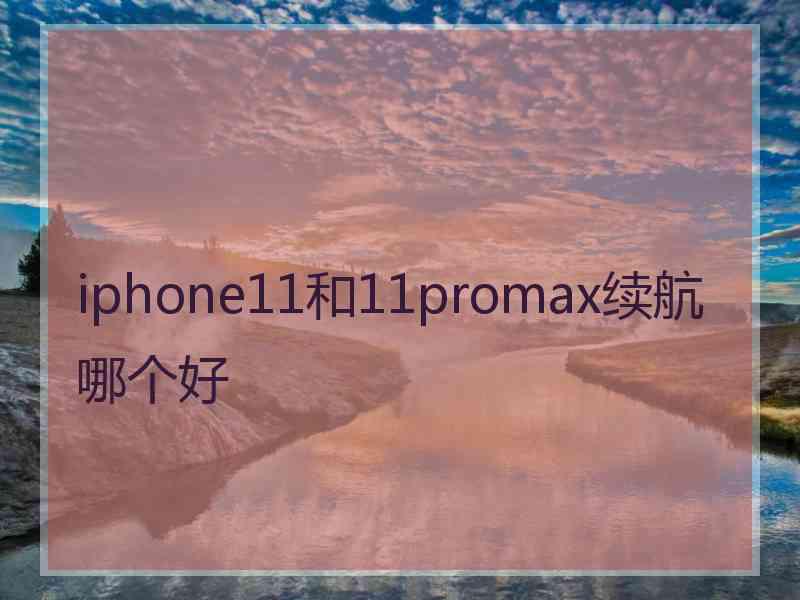 iphone11和11promax续航哪个好