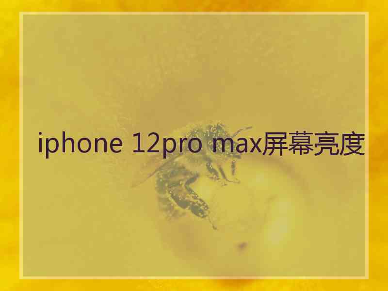 iphone 12pro max屏幕亮度