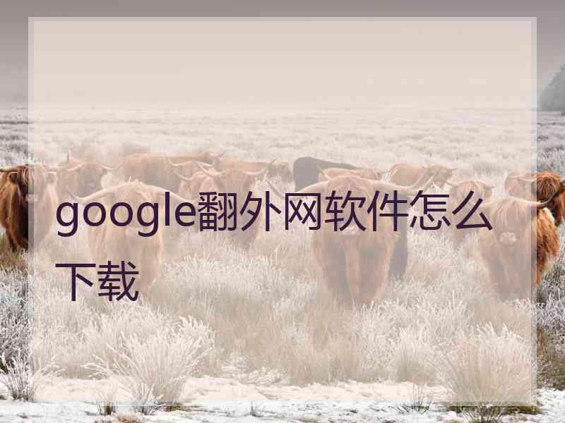 google翻外网软件怎么下载