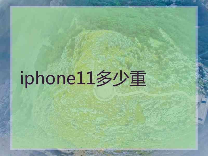 iphone11多少重