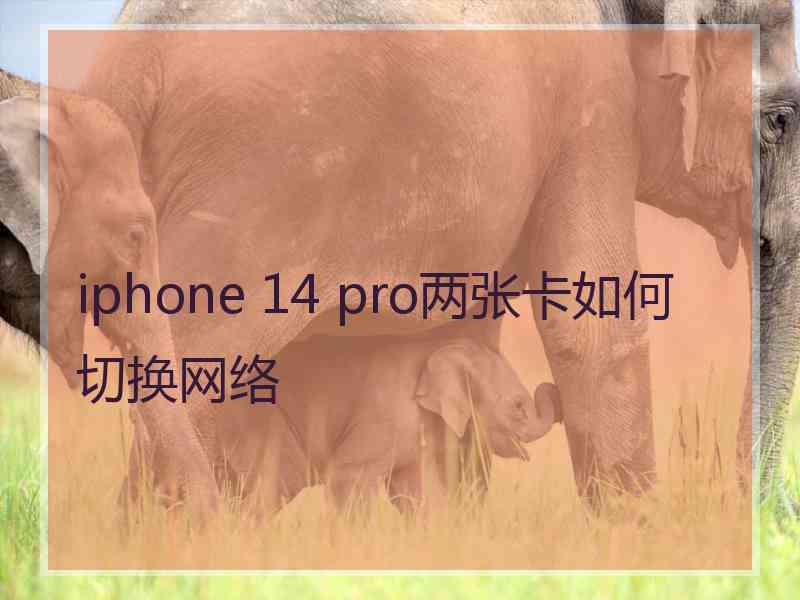 iphone 14 pro两张卡如何切换网络