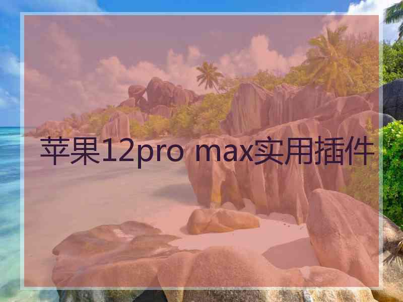 苹果12pro max实用插件