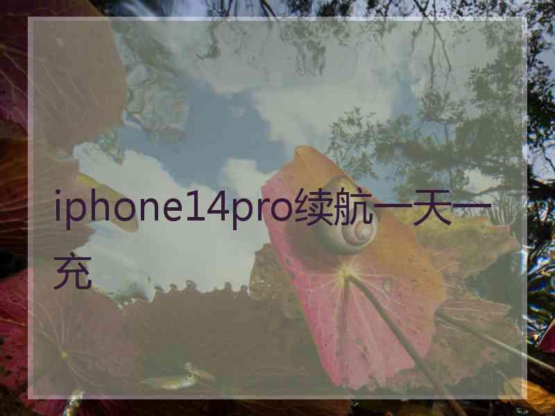 iphone14pro续航一天一充