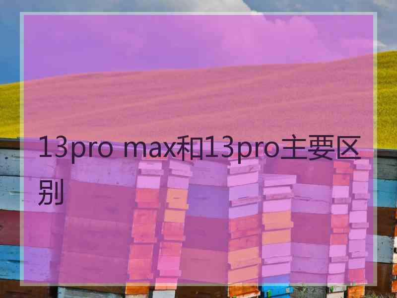 13pro max和13pro主要区别