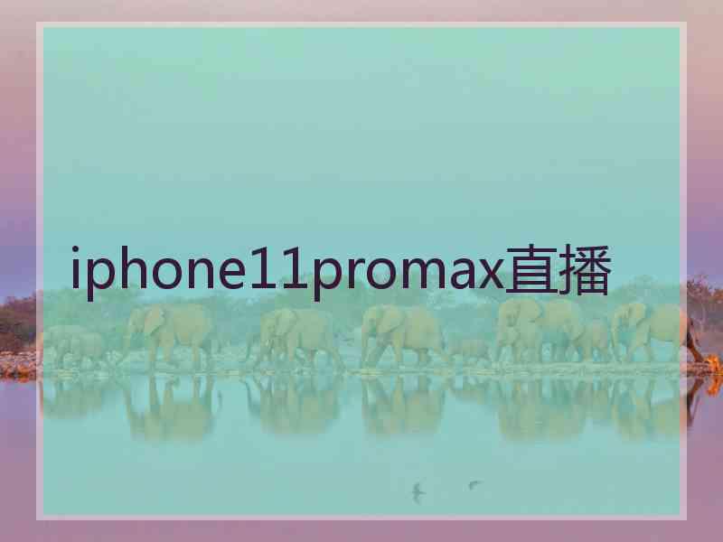 iphone11promax直播