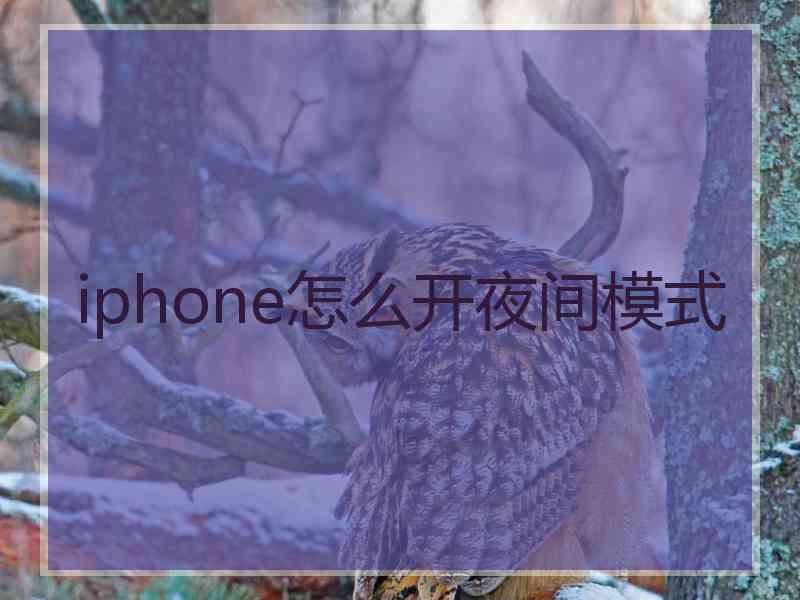 iphone怎么开夜间模式