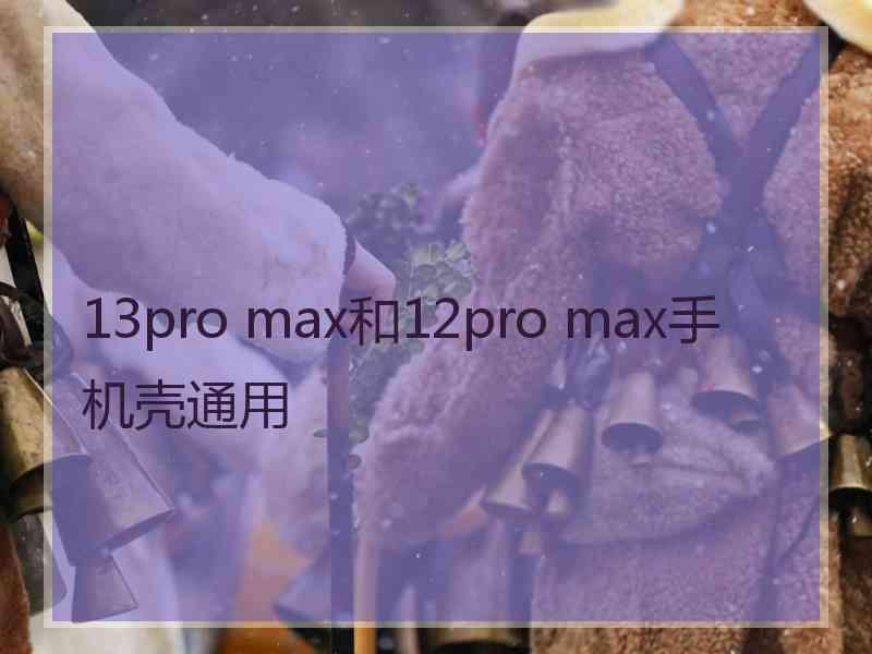 13pro max和12pro max手机壳通用