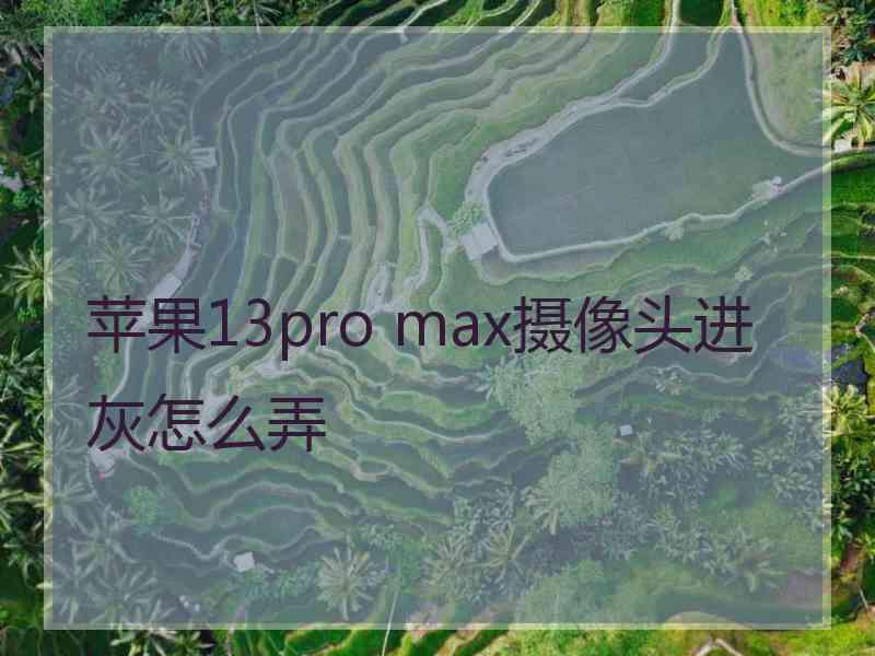 苹果13pro max摄像头进灰怎么弄