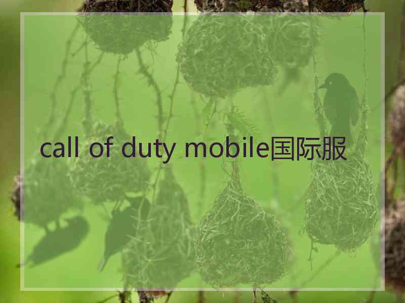 call of duty mobile国际服