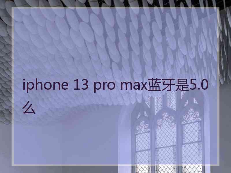 iphone 13 pro max蓝牙是5.0么