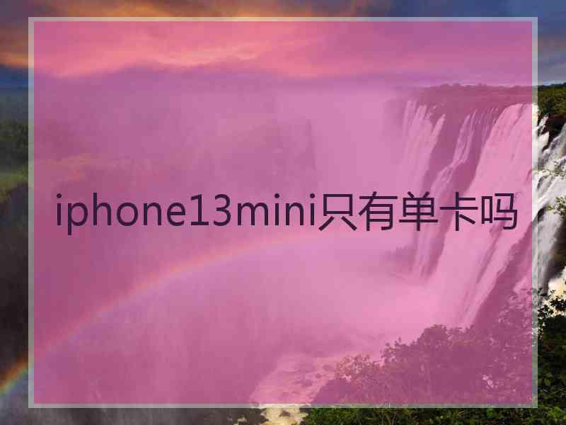 iphone13mini只有单卡吗