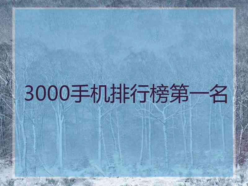 3000手机排行榜第一名