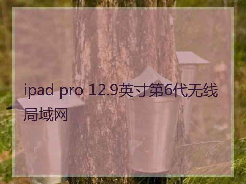 ipad pro 12.9英寸第6代无线局域网