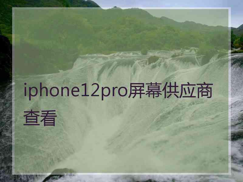 iphone12pro屏幕供应商查看