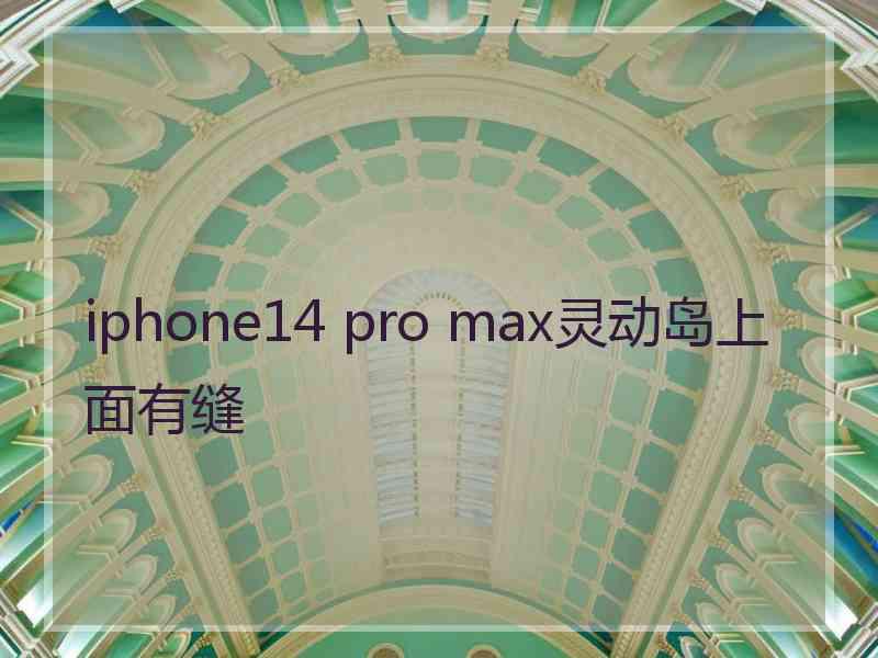 iphone14 pro max灵动岛上面有缝