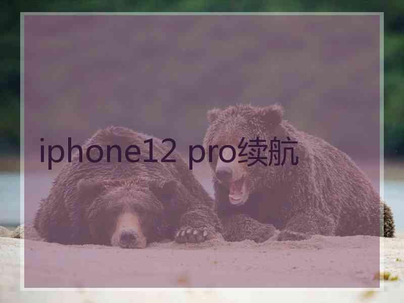 iphone12 pro续航