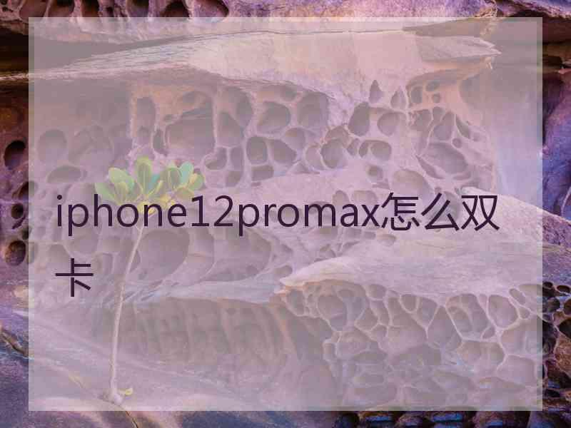 iphone12promax怎么双卡