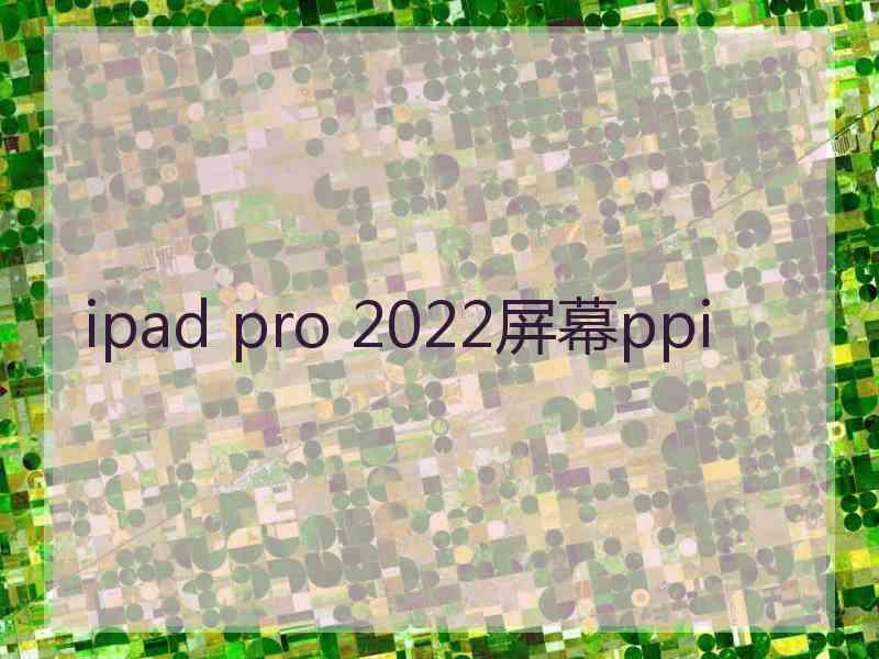 ipad pro 2022屏幕ppi