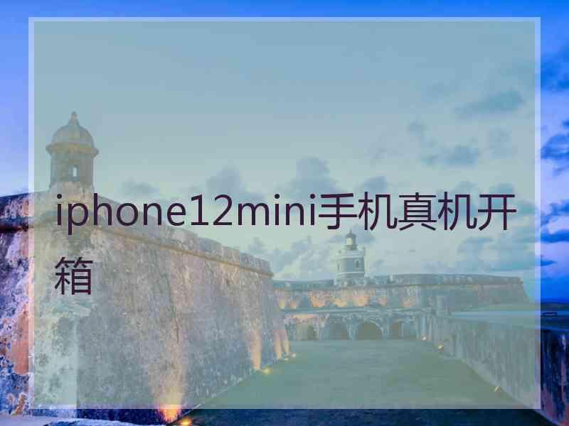 iphone12mini手机真机开箱