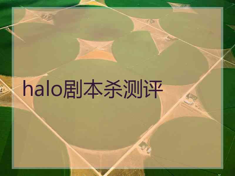 halo剧本杀测评