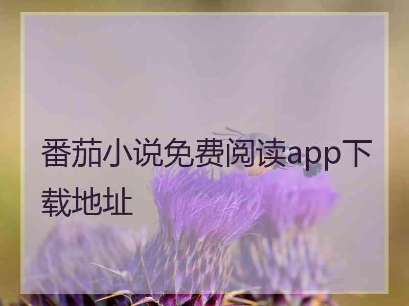 番茄小说免费阅读app下载地址