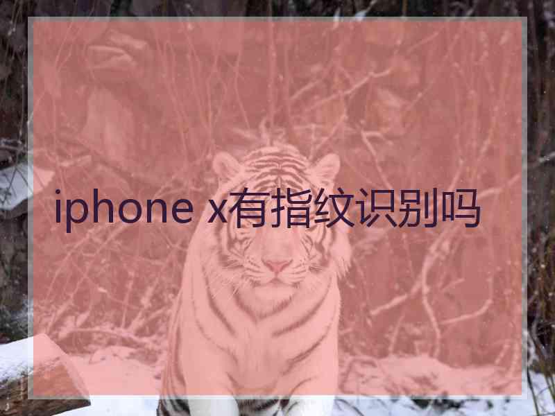 iphone x有指纹识别吗