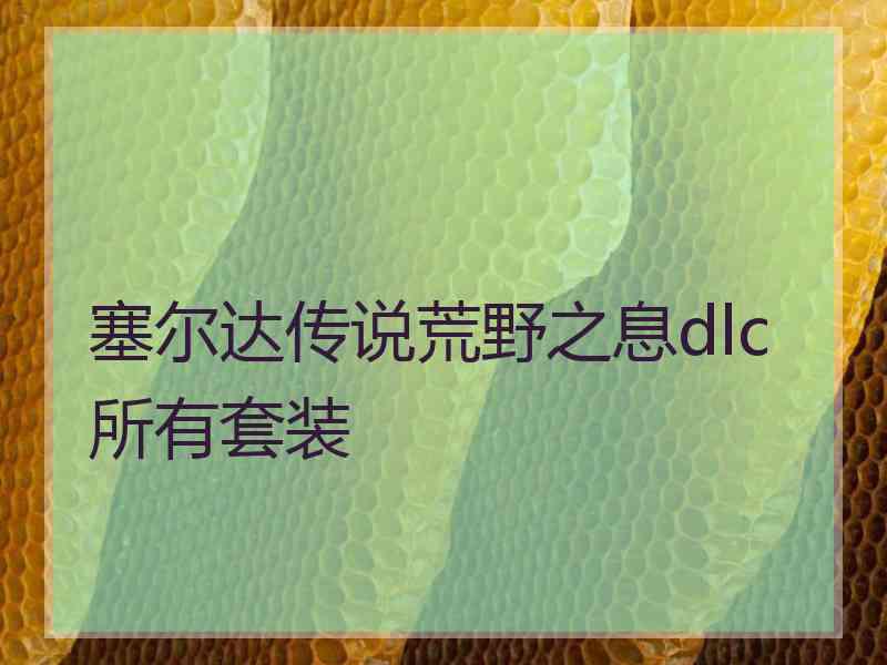 塞尔达传说荒野之息dlc所有套装