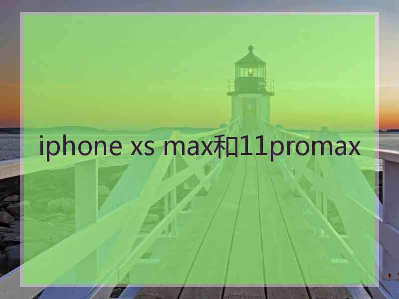 iphone xs max和11promax