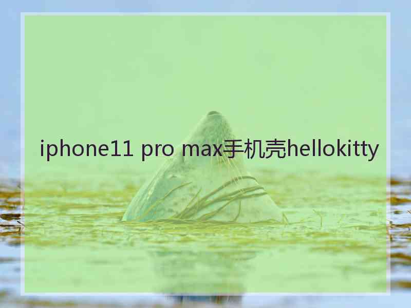 iphone11 pro max手机壳hellokitty