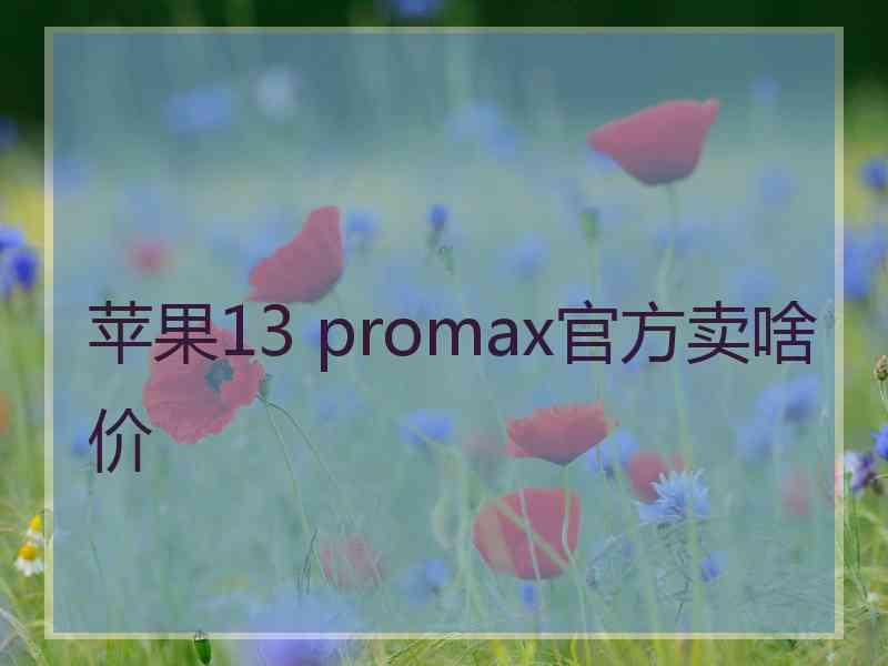 苹果13 promax官方卖啥价