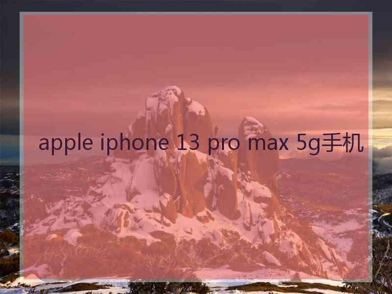 apple iphone 13 pro max 5g手机