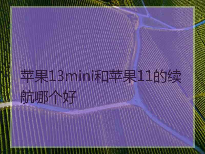 苹果13mini和苹果11的续航哪个好