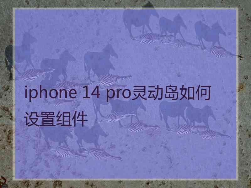 iphone 14 pro灵动岛如何设置组件