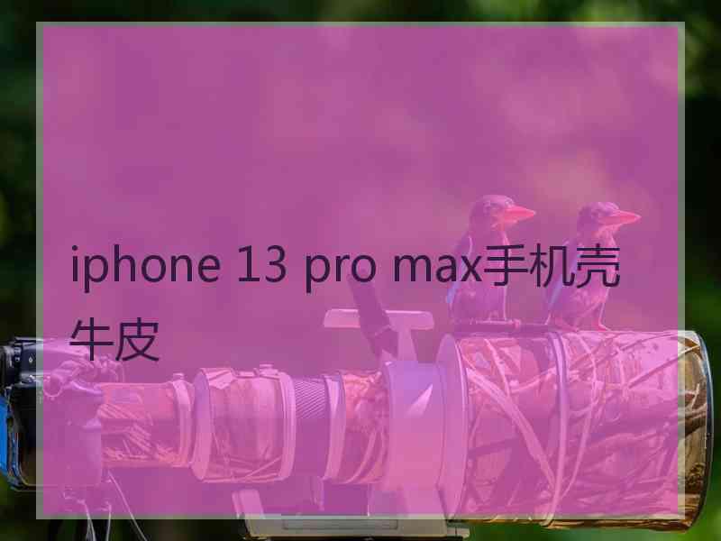 iphone 13 pro max手机壳牛皮