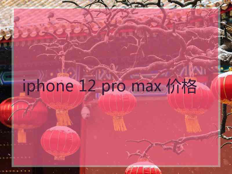 iphone 12 pro max 价格