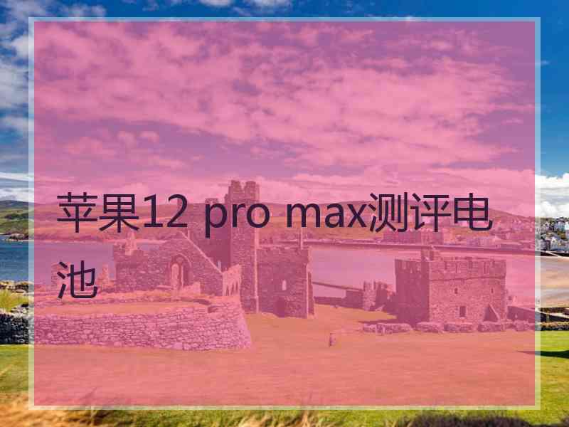 苹果12 pro max测评电池