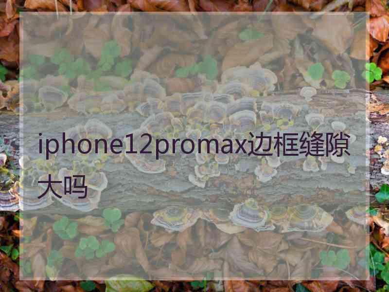 iphone12promax边框缝隙大吗