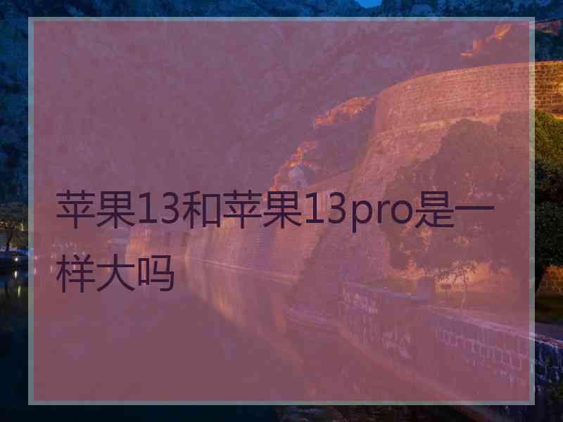 苹果13和苹果13pro是一样大吗