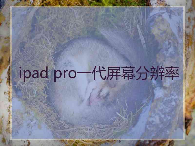 ipad pro一代屏幕分辨率