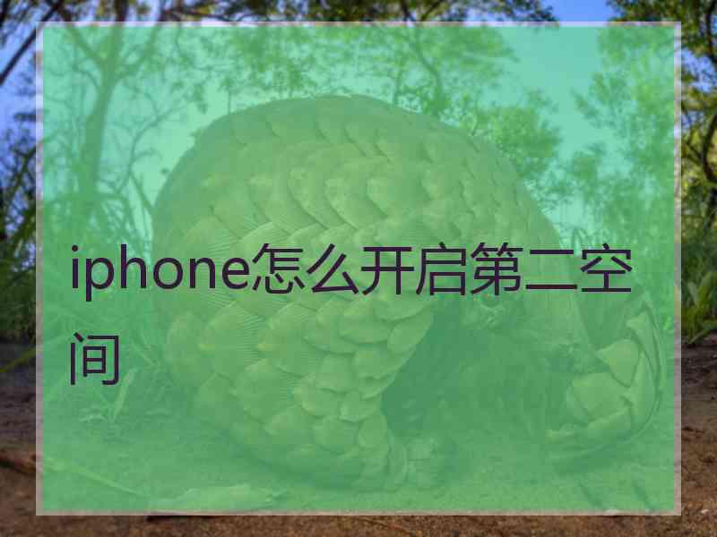 iphone怎么开启第二空间