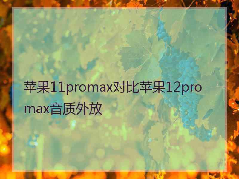 苹果11promax对比苹果12pro max音质外放