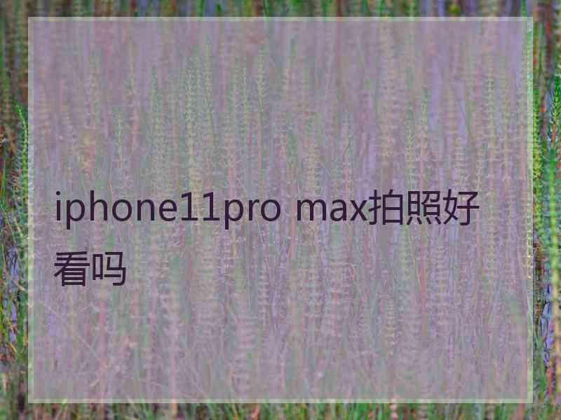 iphone11pro max拍照好看吗